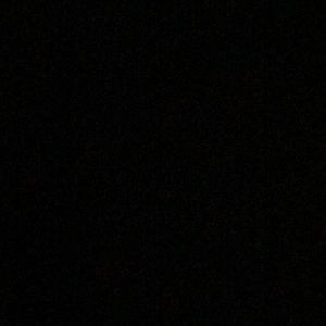 Meet your Posher, Griselda